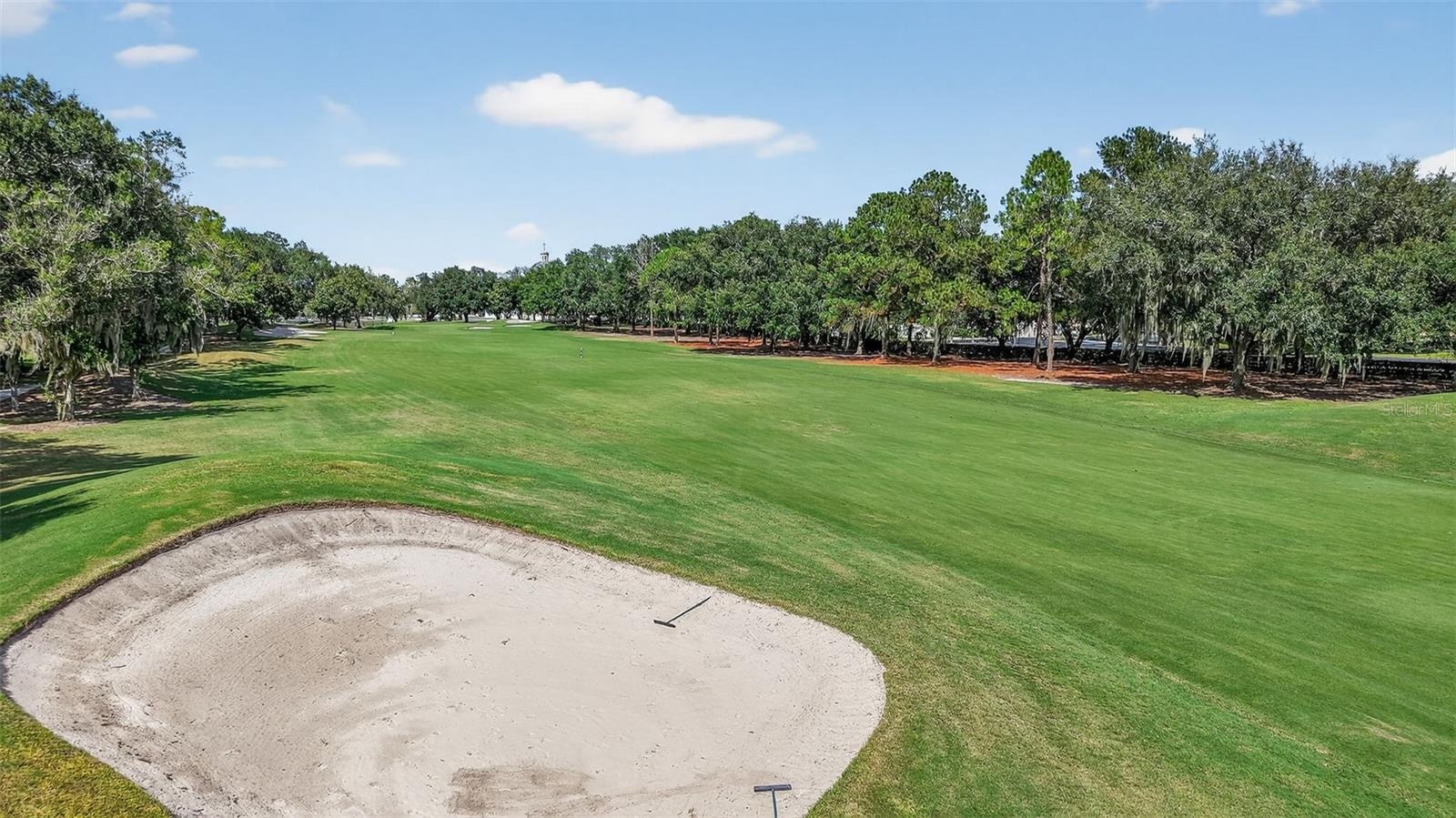 Incredible Golf Front Views!