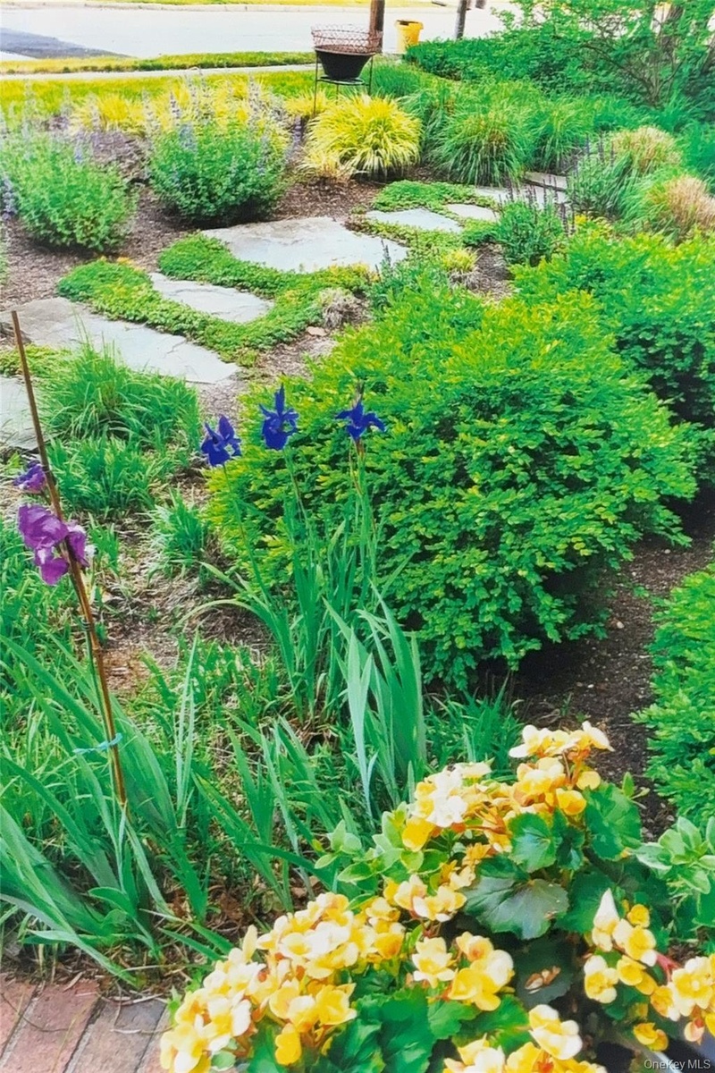 Beautiful Walkway