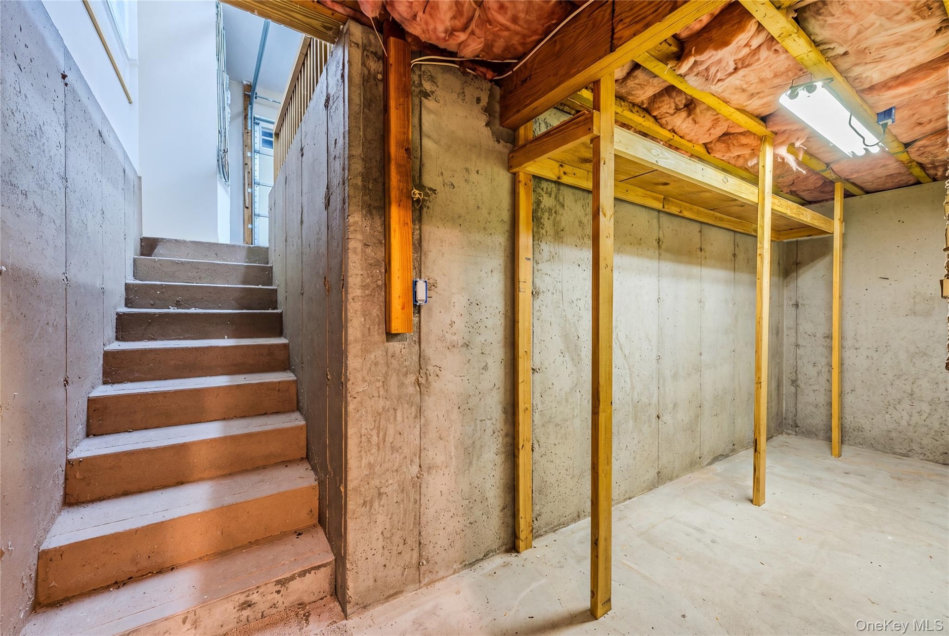 Entrance from the Garage into the Basement