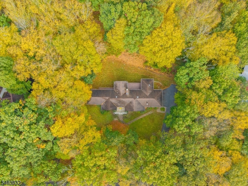 aerial