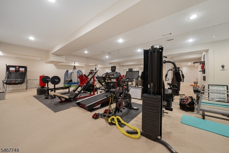 Basement Gym