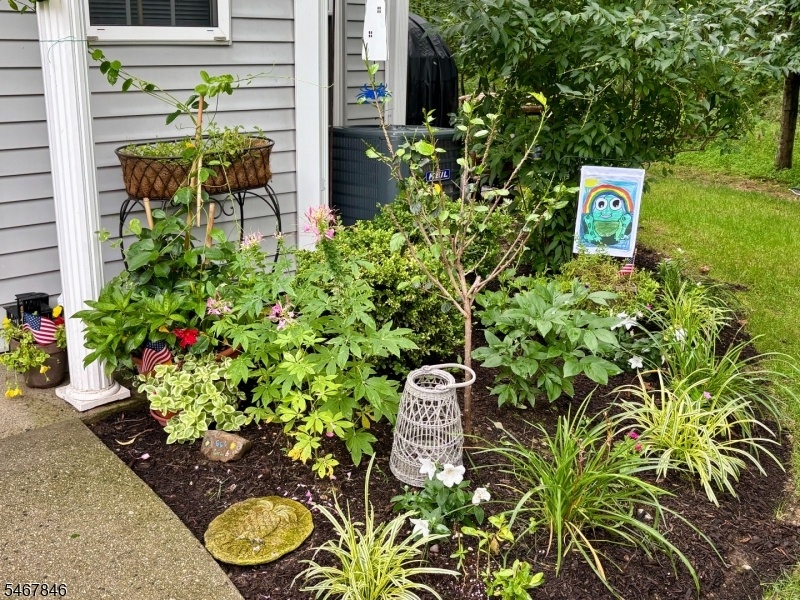 Front Garden