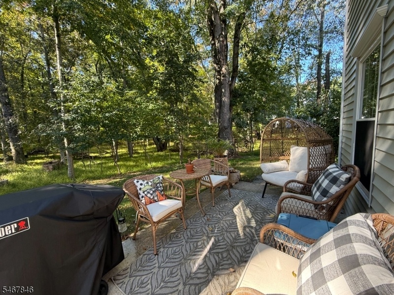 Back Patio