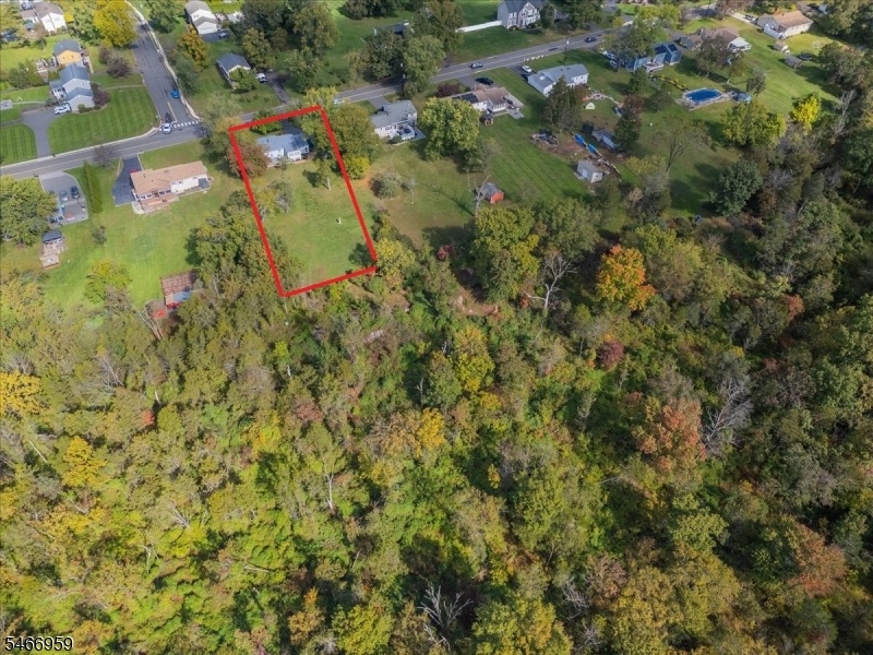 Backs to Wooded lot