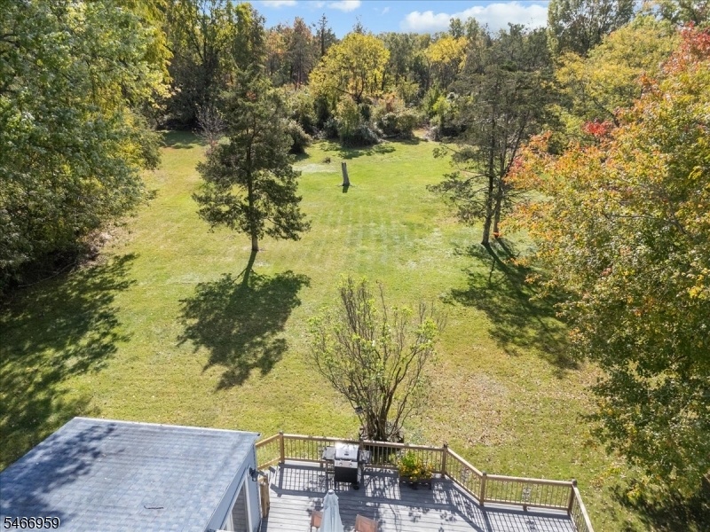 Expansive Backyard