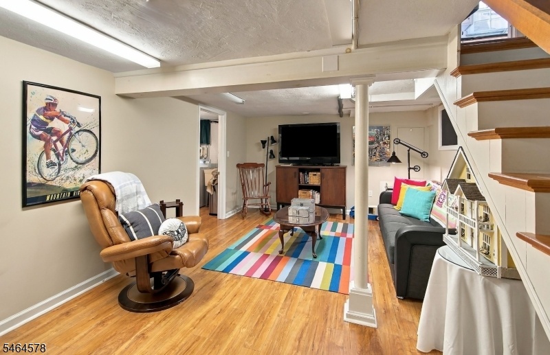 Den in Basement