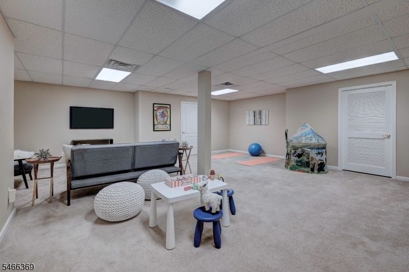 Lower Level/Rec Room