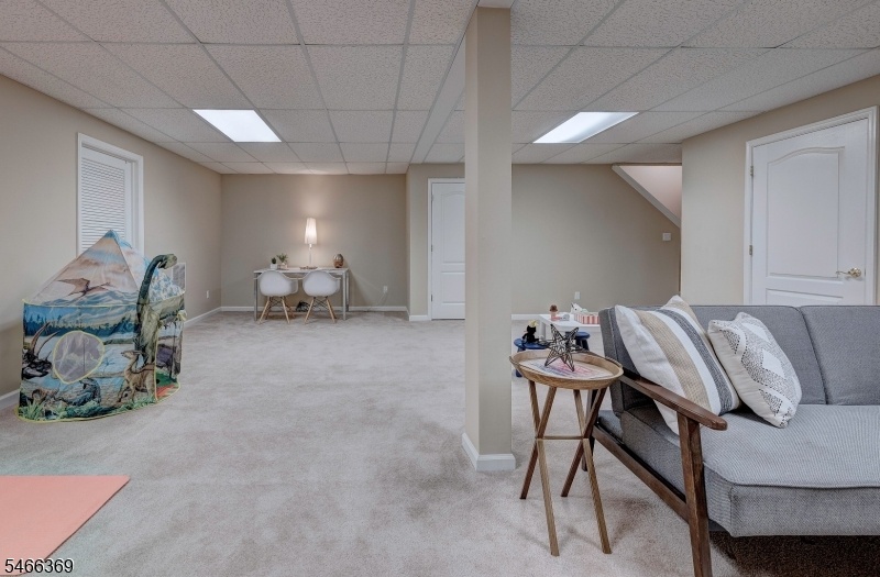 Lower Level/Rec Room