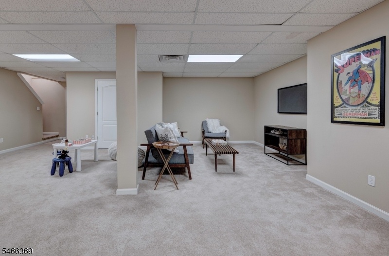 Lower Level/Rec Room