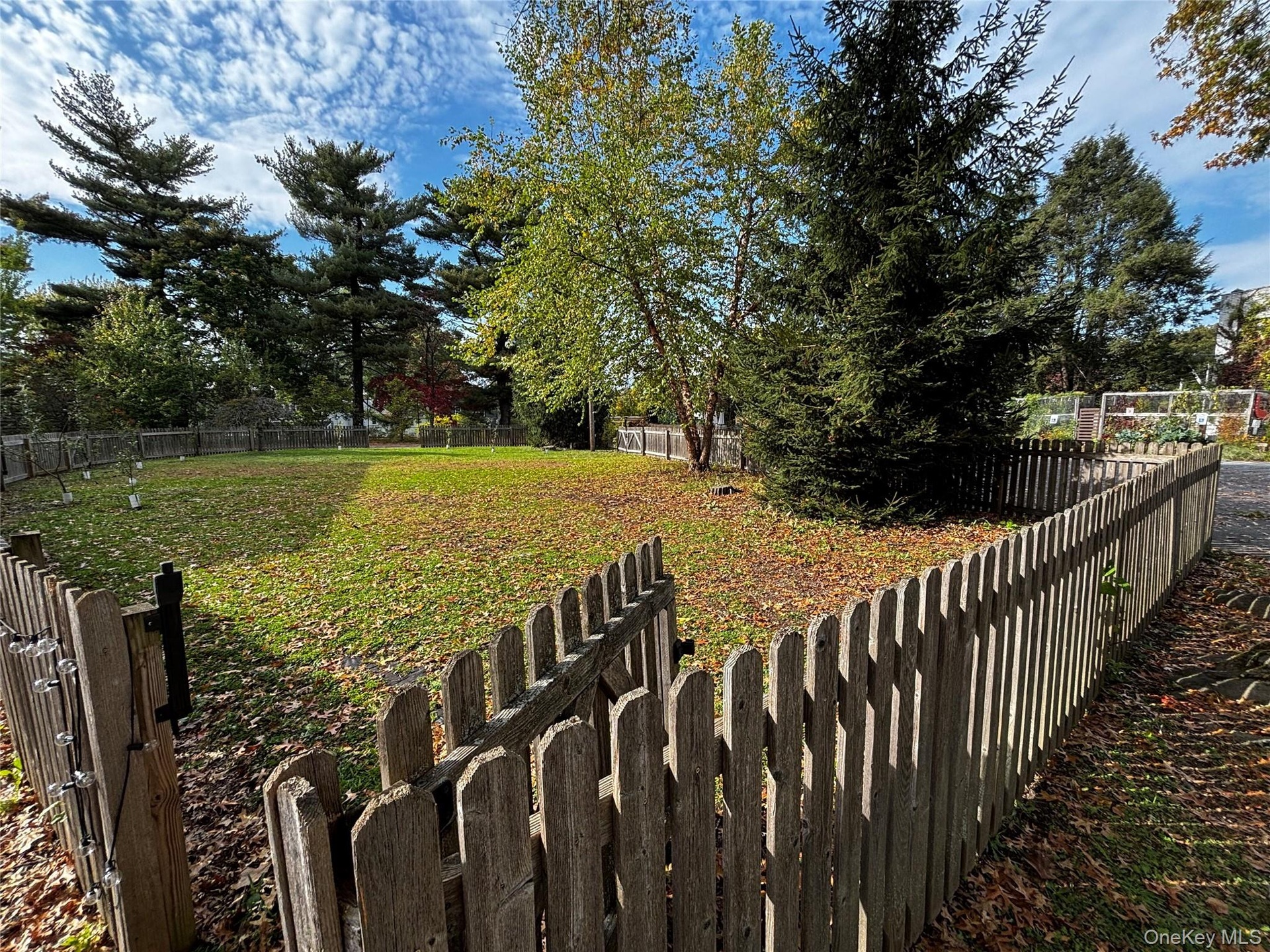Side Yard