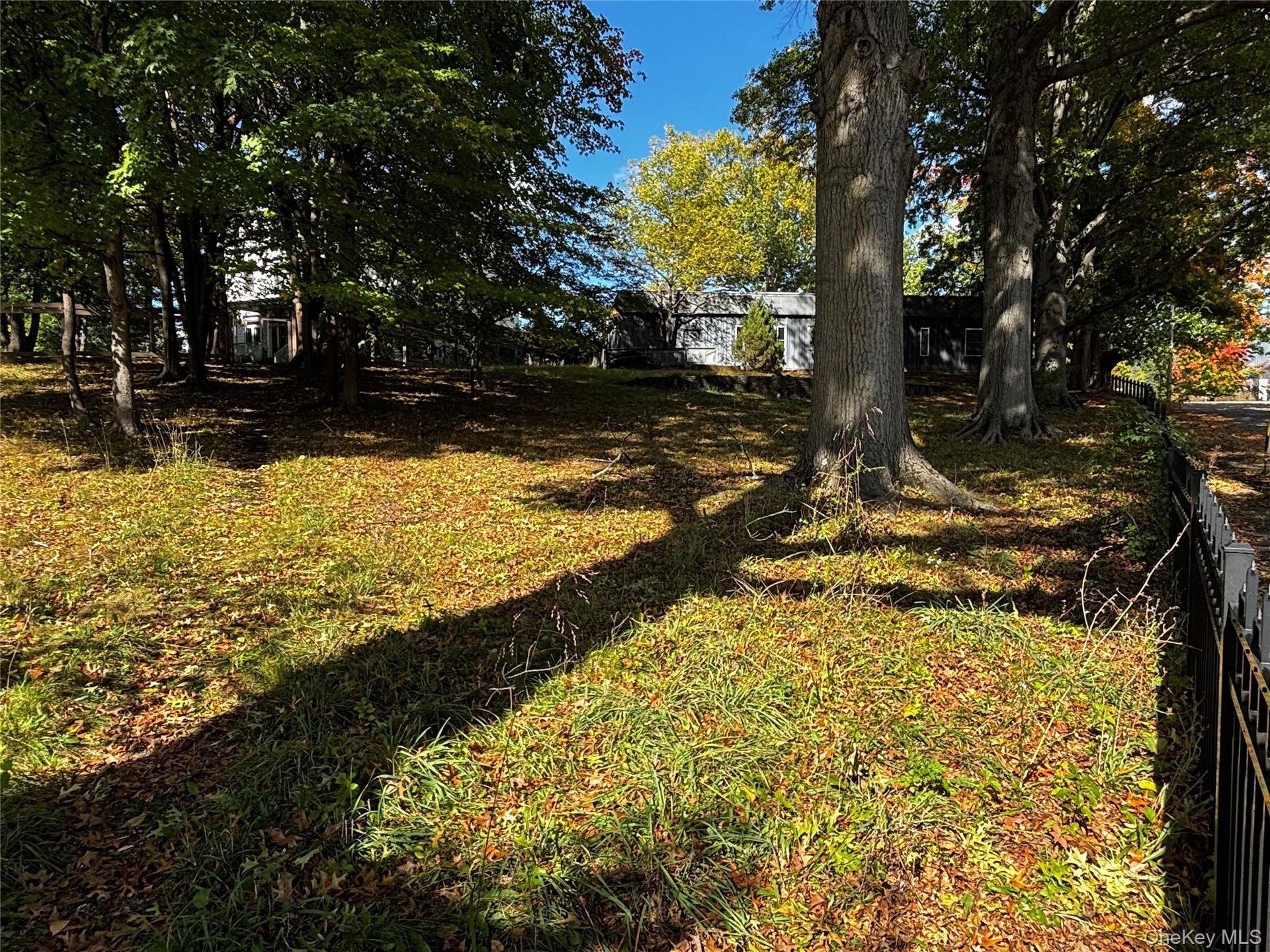 Grounds