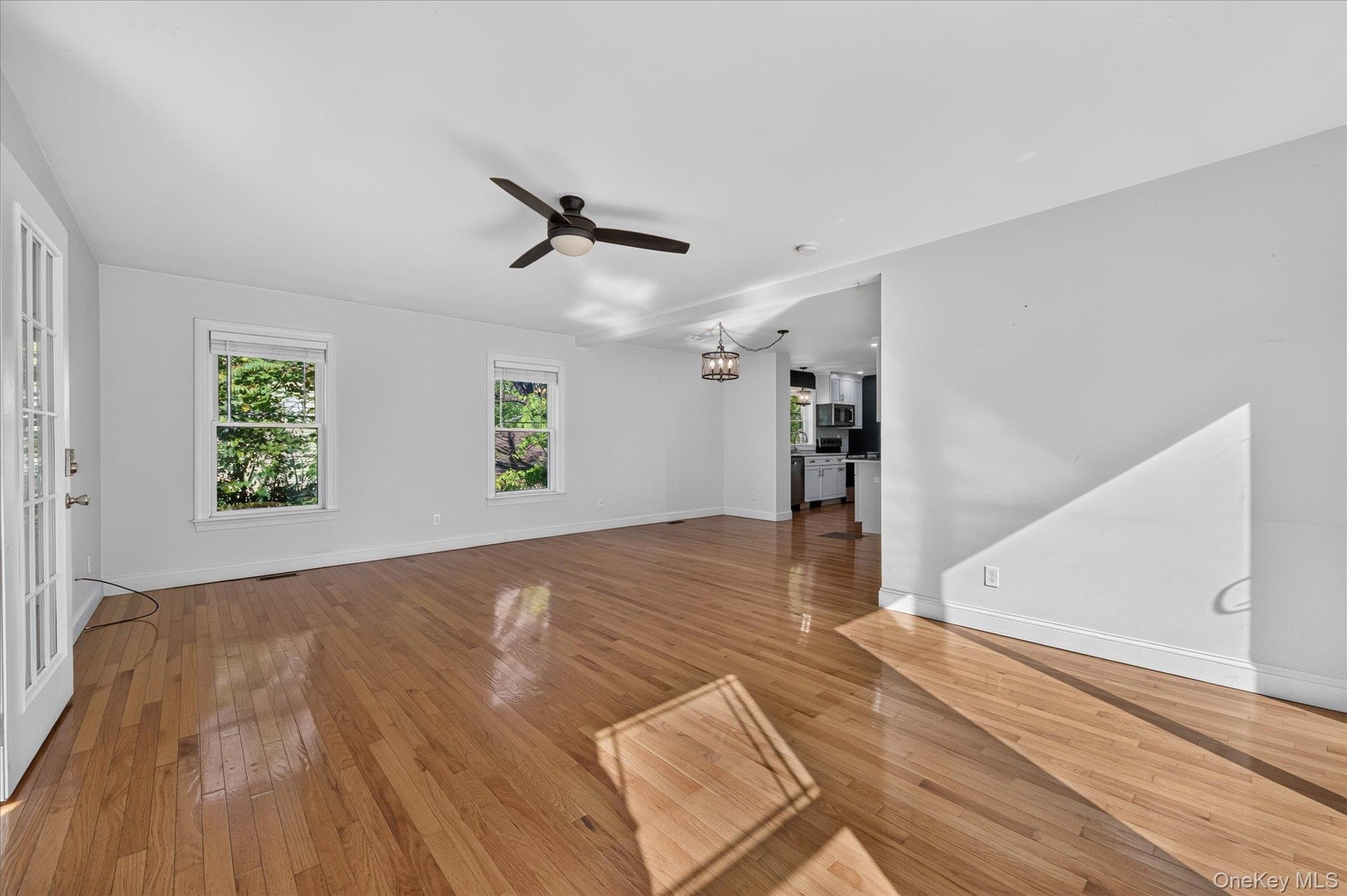 Living Room / Dining Area