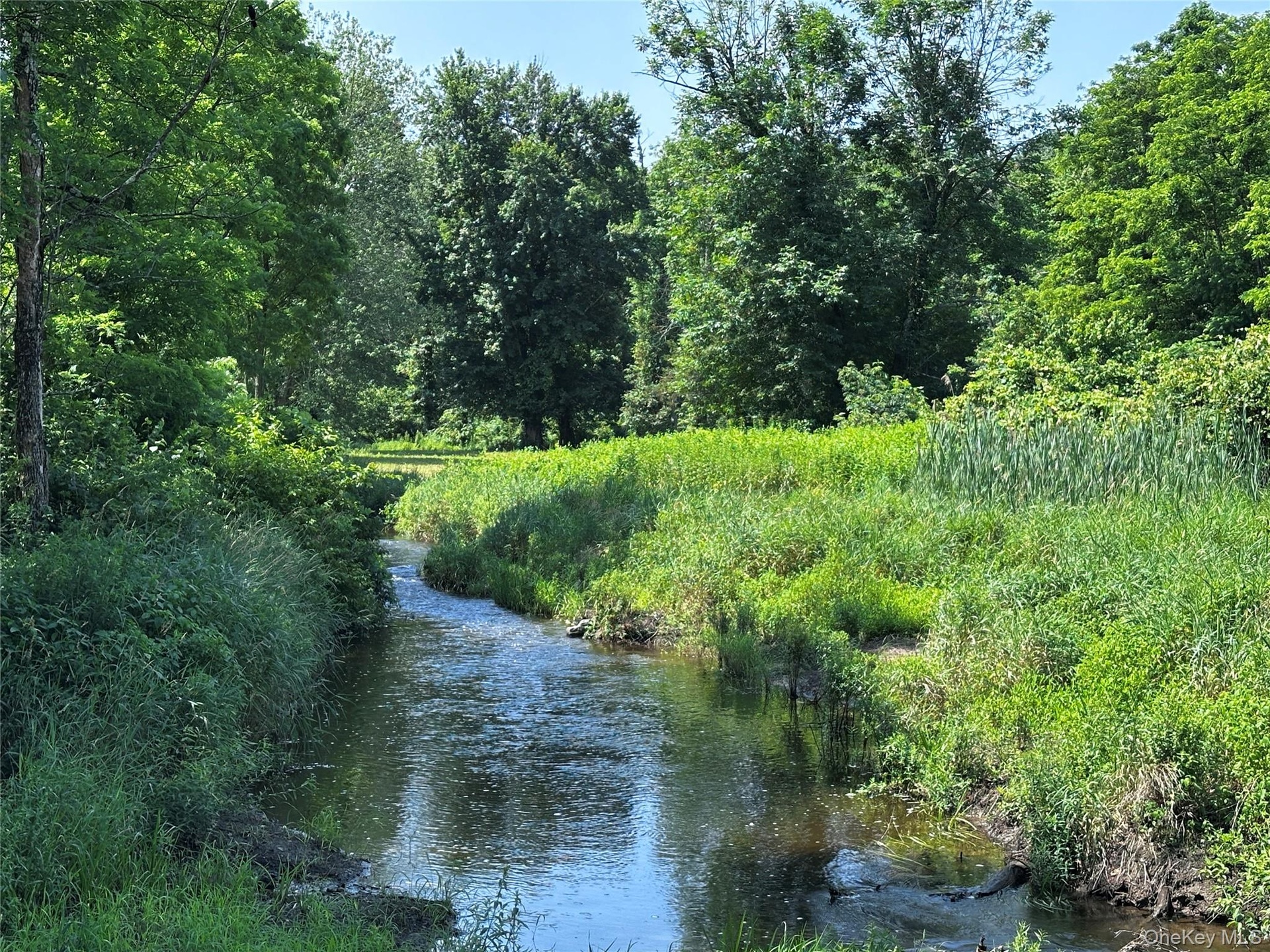 Water view