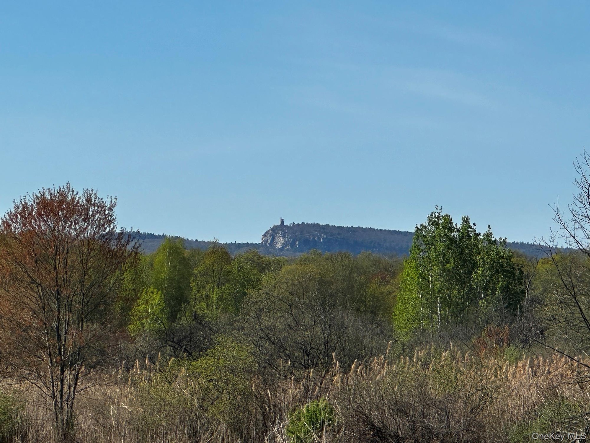 View of mountain background
