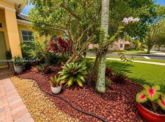 Landscaped garden bed featuring decorative red rock mulch, variegated foliage, a mature tree, and a paved walkway