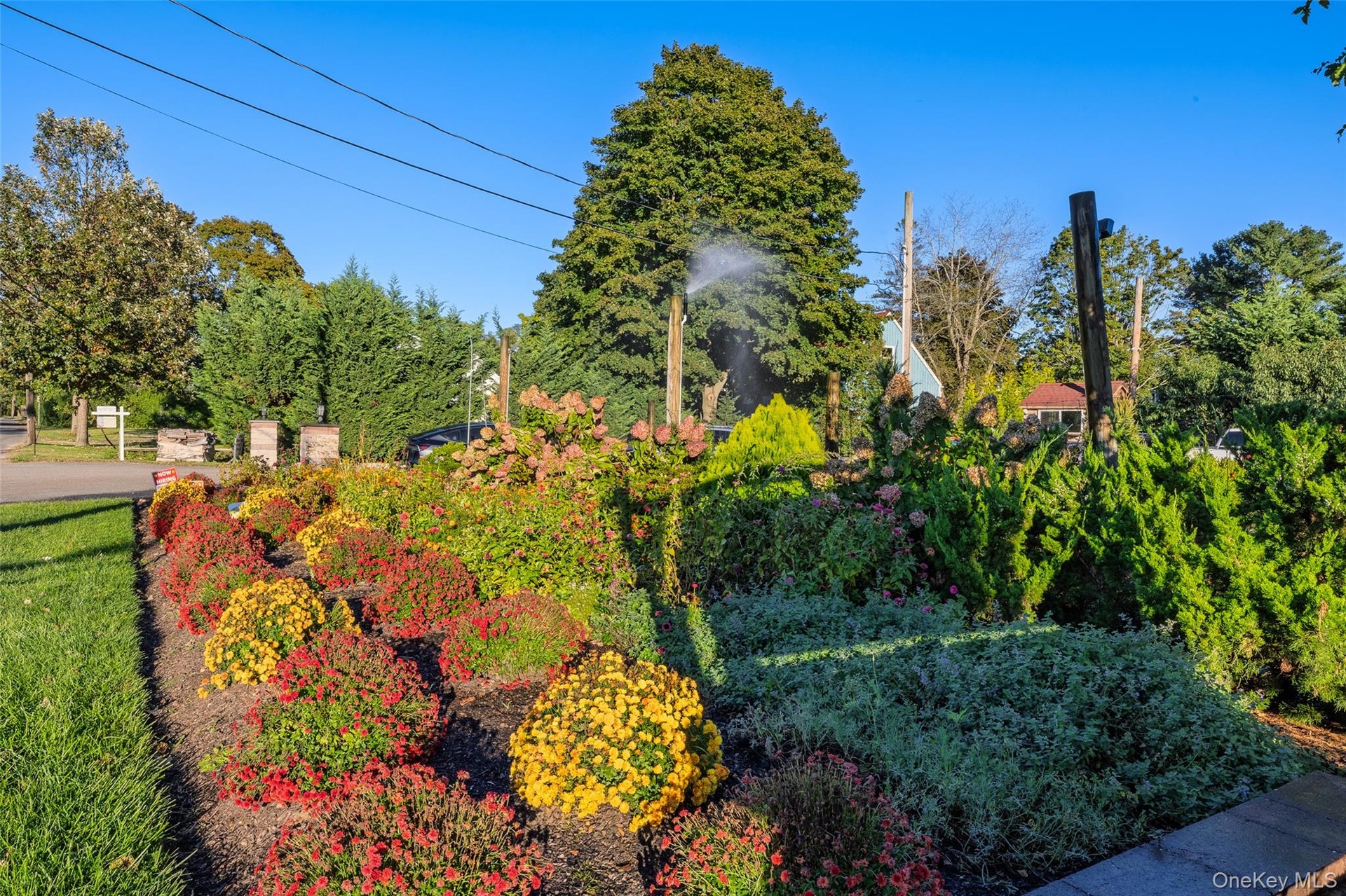 Road frontage