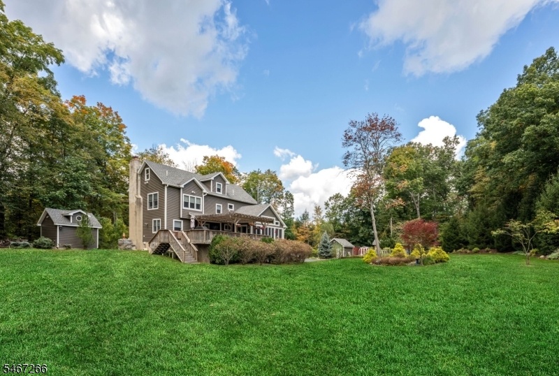 Expansive Yard