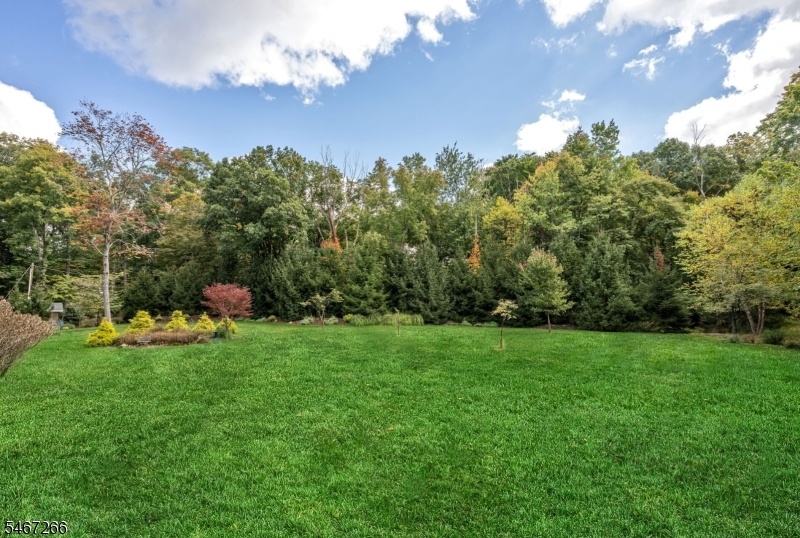 Huge Yard