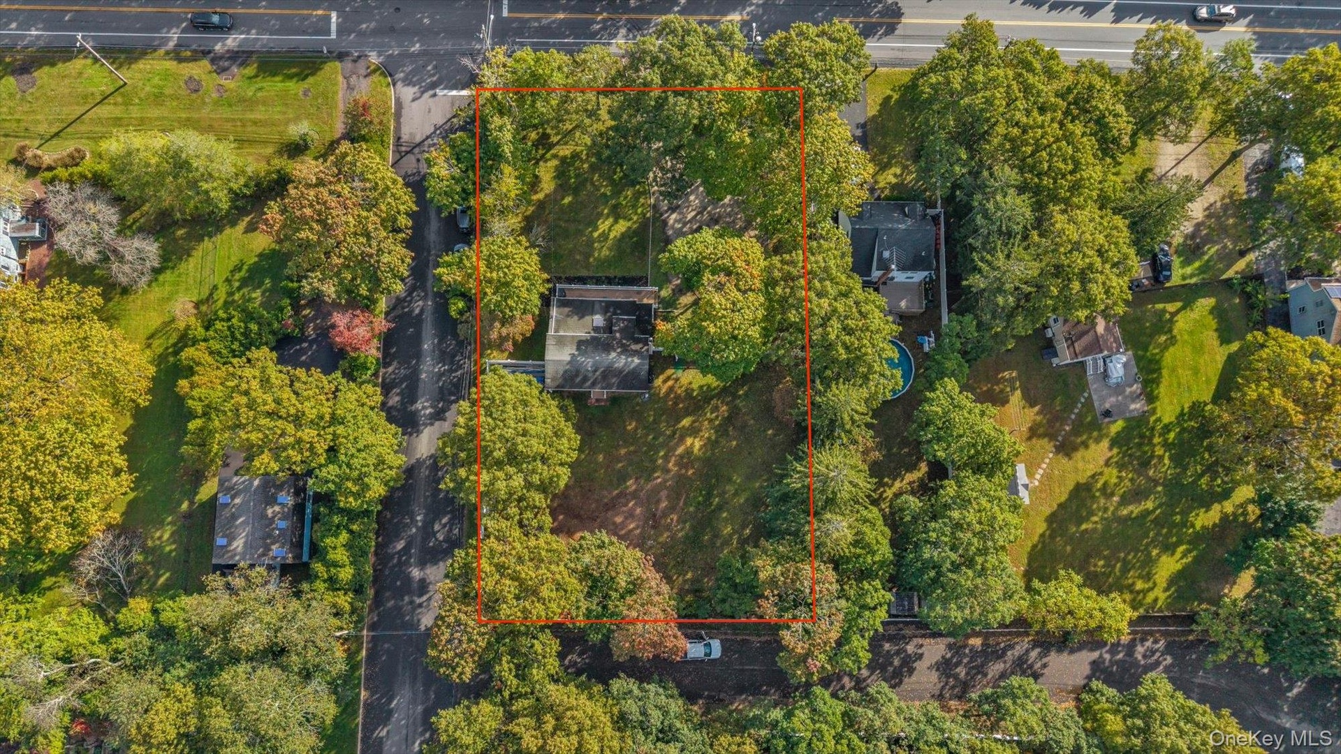 Aerial view of a rectangular lot featuring a detached structure, dense mature tree canopy, and expansive grass-covered grounds