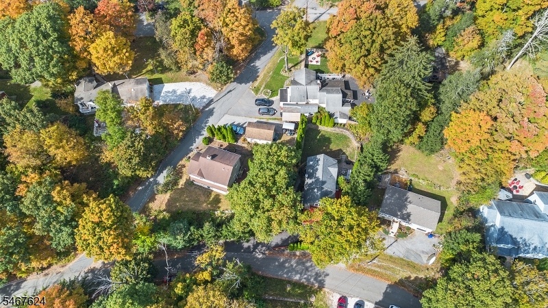Drone view