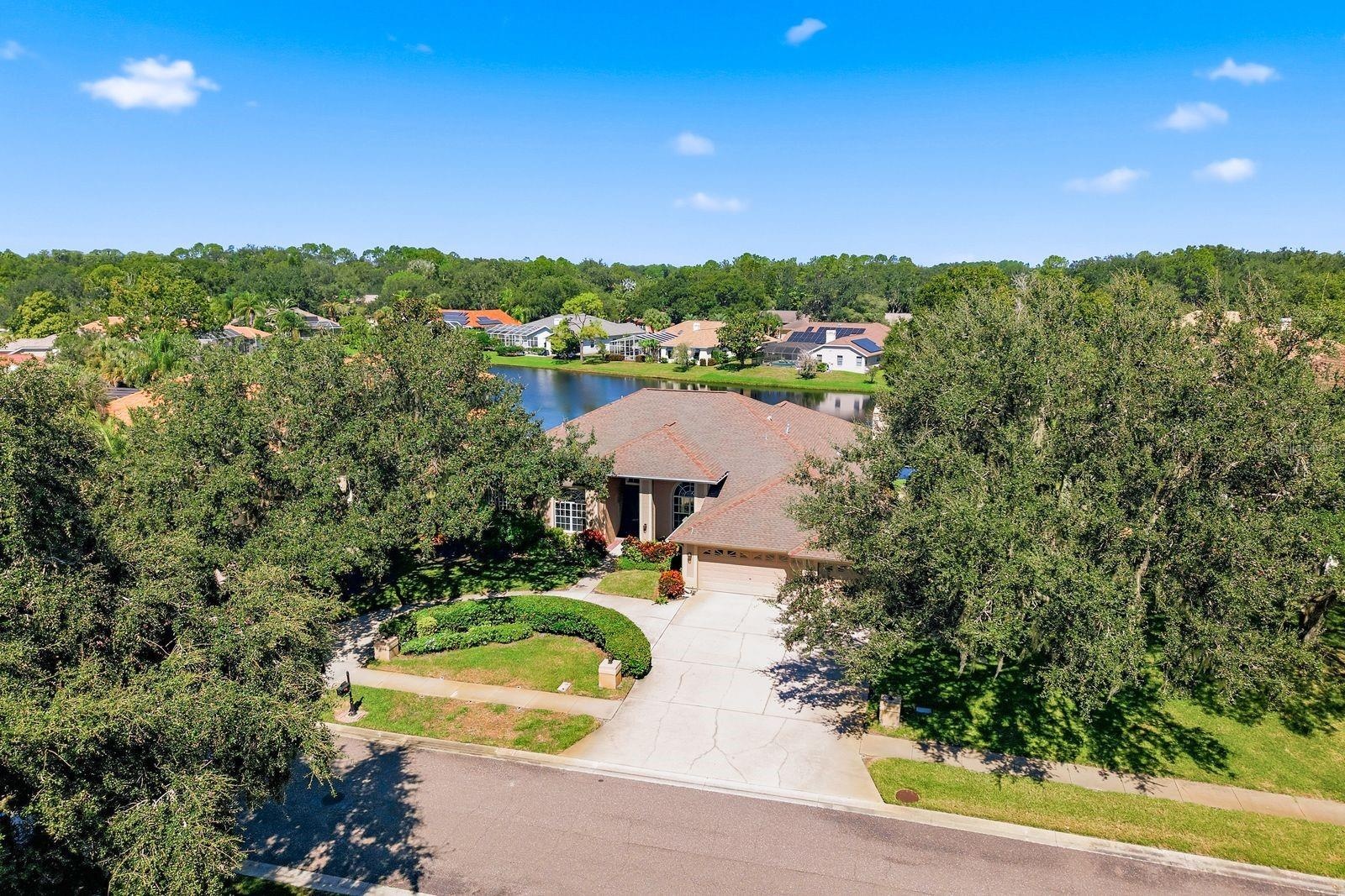 Circular Driveway