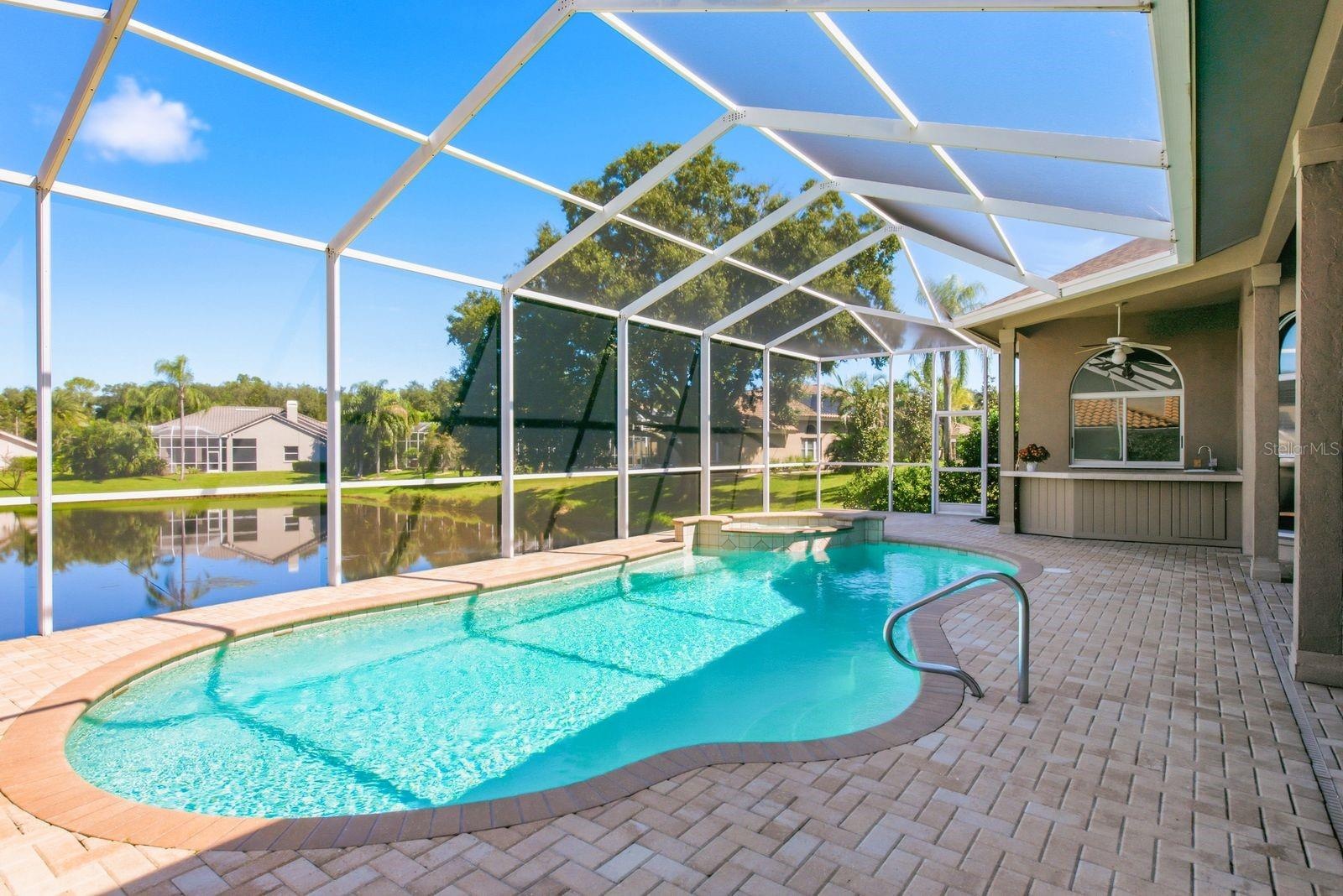Gorgeous Pool overlooking the Pond
