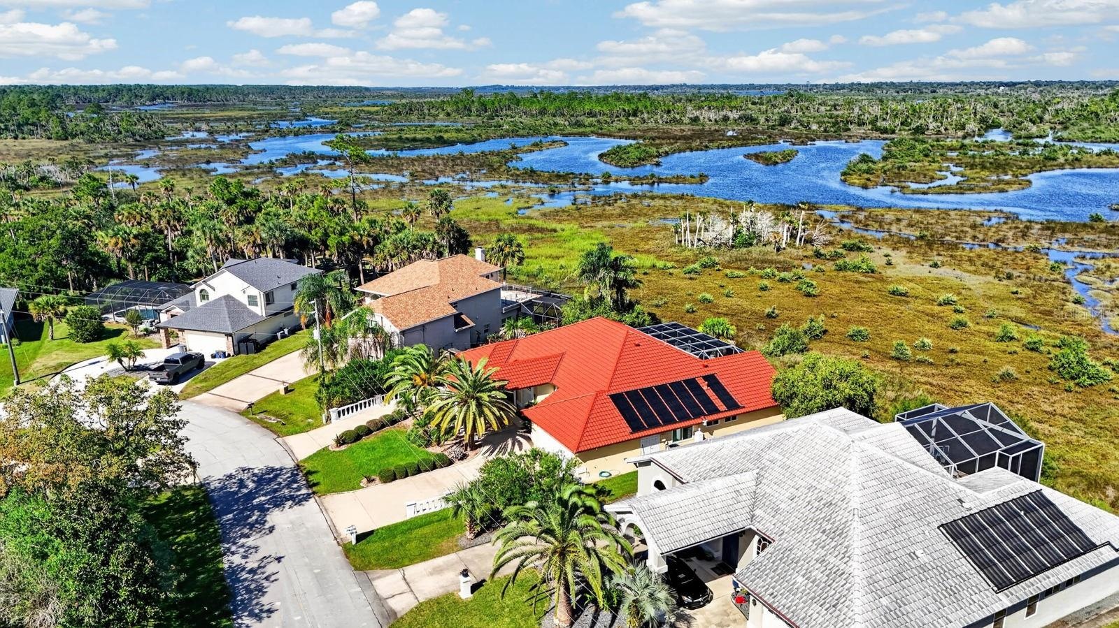 Panoramic Water and Nature Views