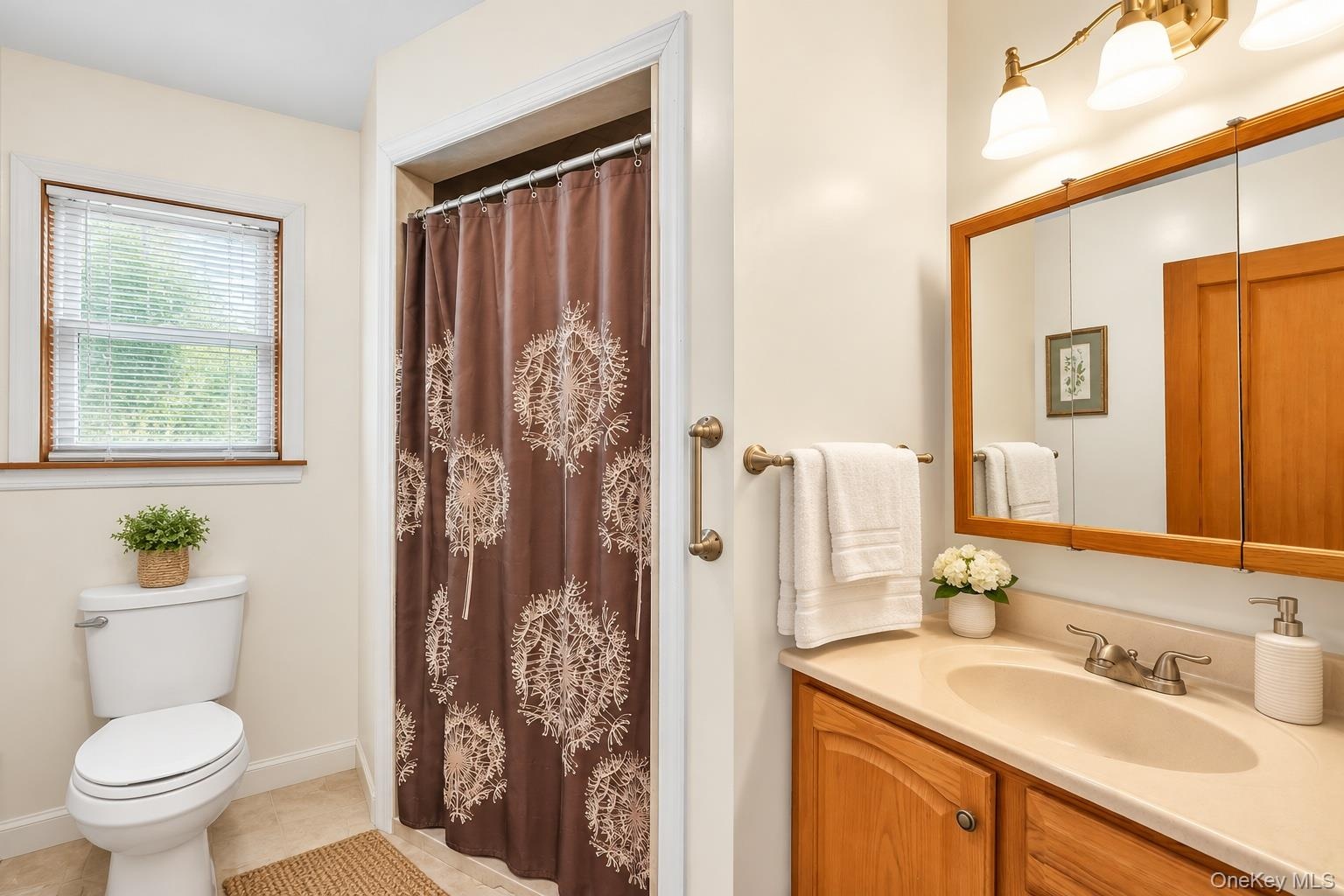 Bathroom featuring a wood-toned vanity with an integrated basin, triple-light wall-mounted fixture, medicine cabinet, and a shower area with a grab ba