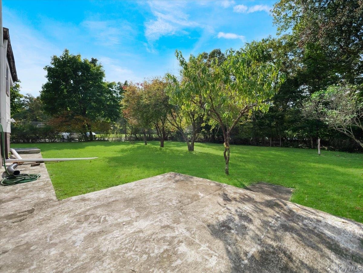 Concrete patio featuring a large level lawn and mature trees
