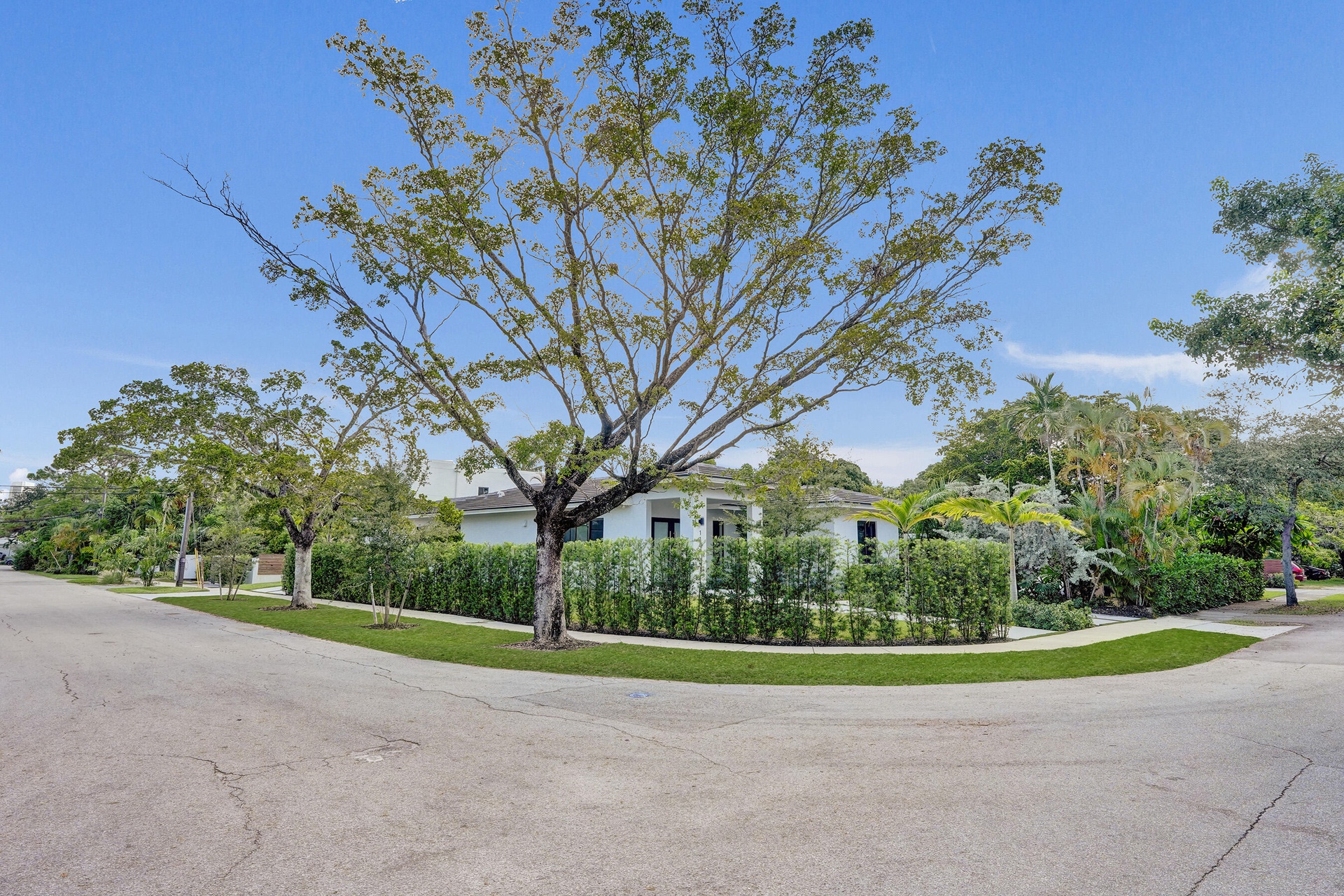 Large corner lot