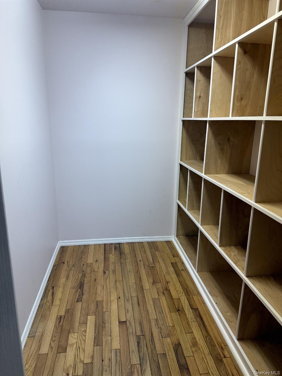 Primary Walk in Closet