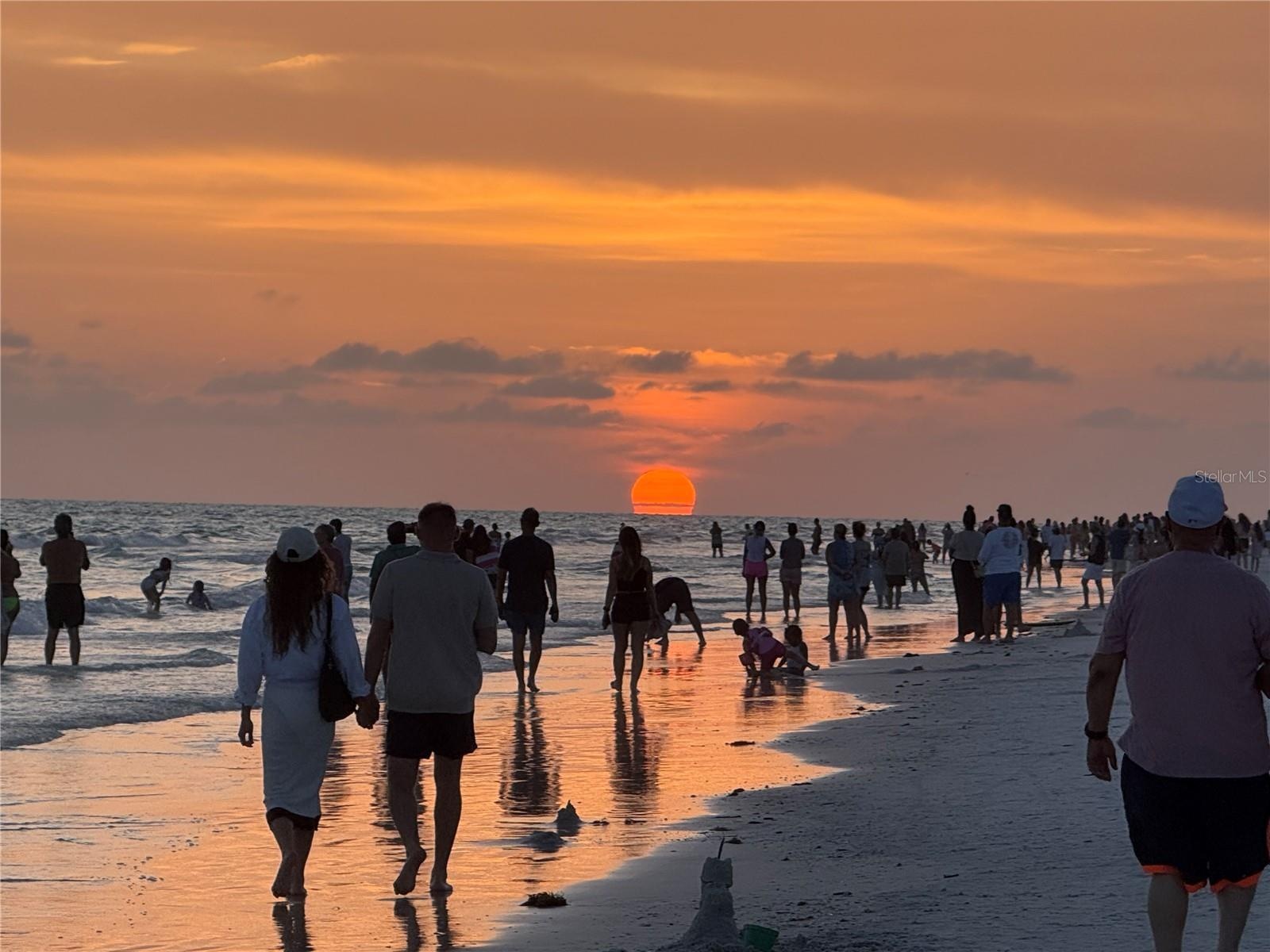Walk the Beach