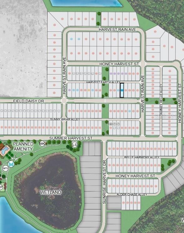 14743 Field Daisy Drive Site Map