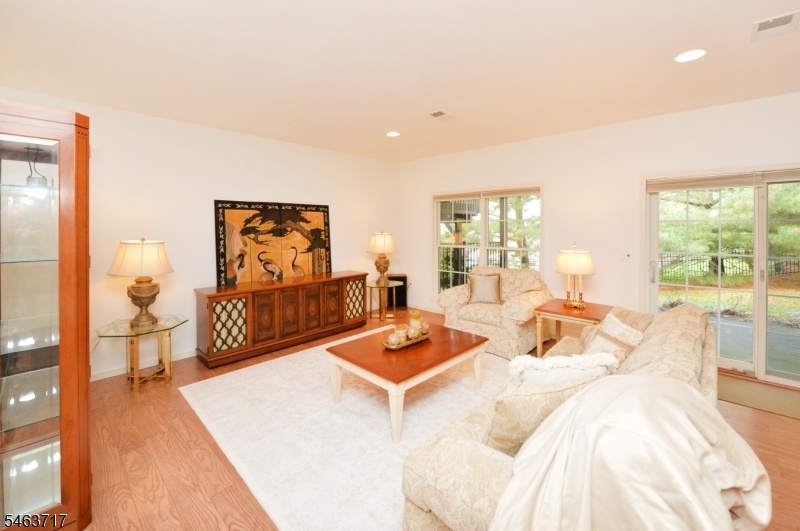 Lower Level Family Room