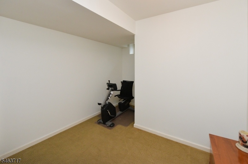 Lower Level Den/Exercise Rm