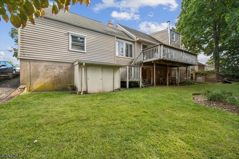 back yard