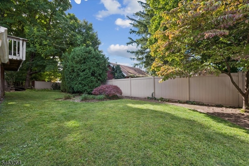back yard