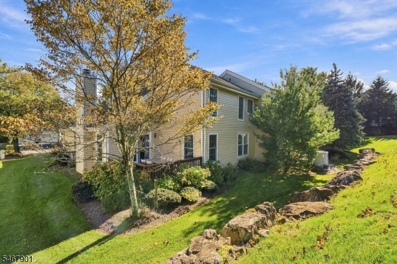Side Yard