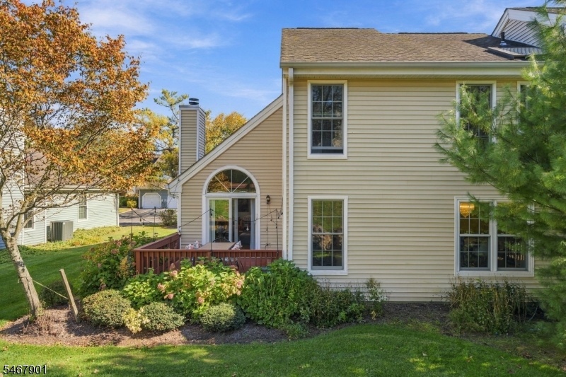 Back of House/Backyard