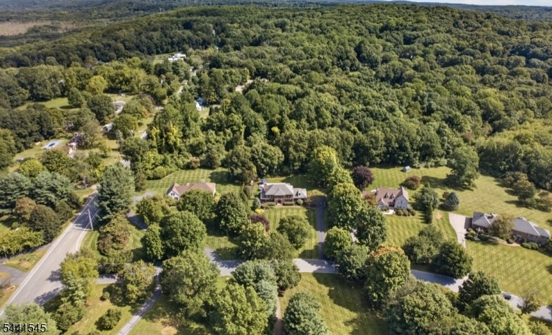 DRONE SHOT