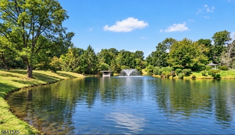 NEIGHBORHOOD POND