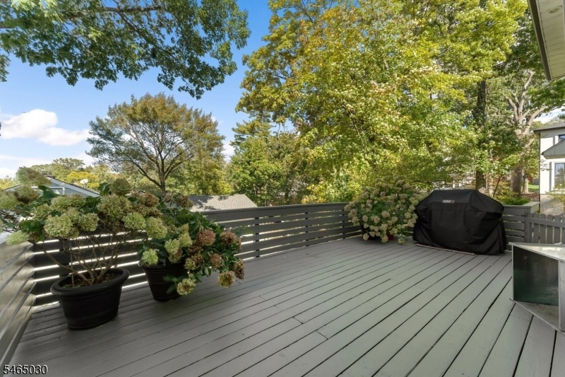 Large Deck