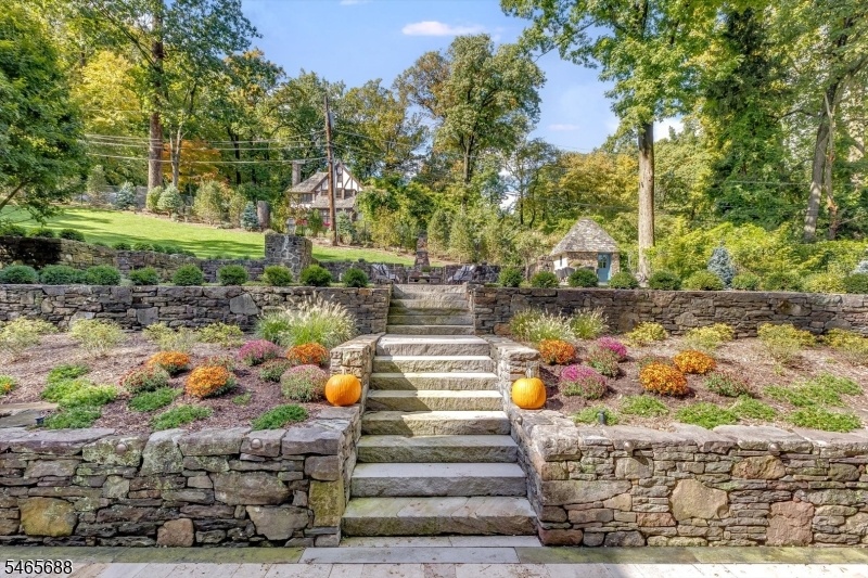 Back Patio