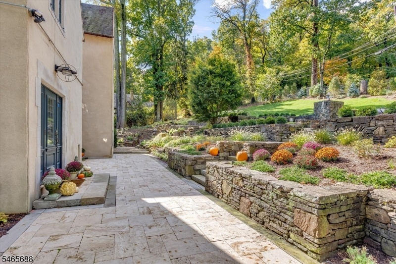 Back Patio