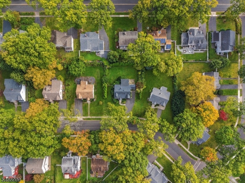 Lovely Neighborhood