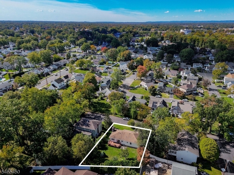 Drone View