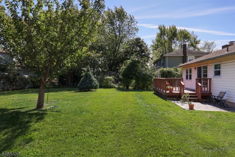 Yard & Deck