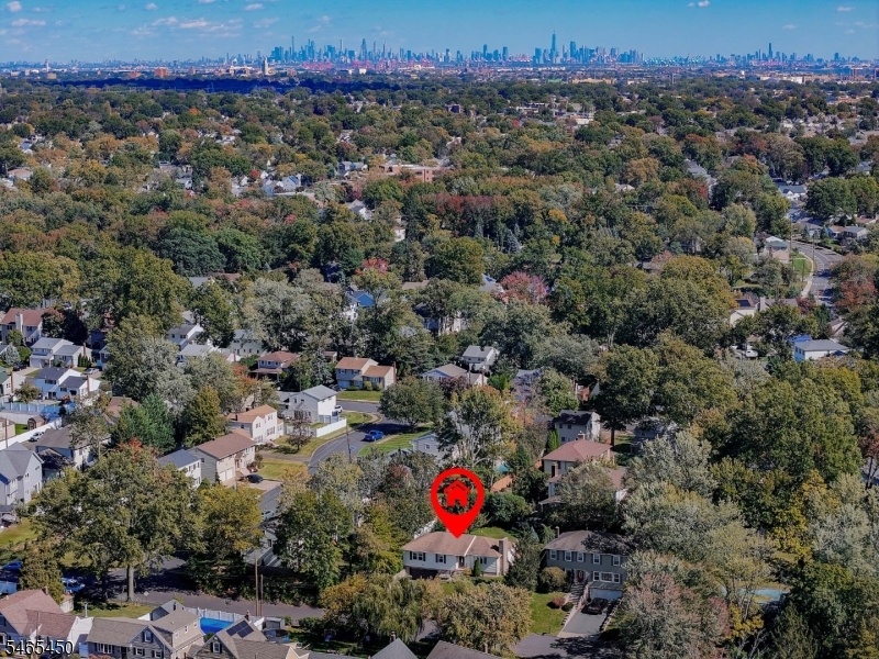 Drone View