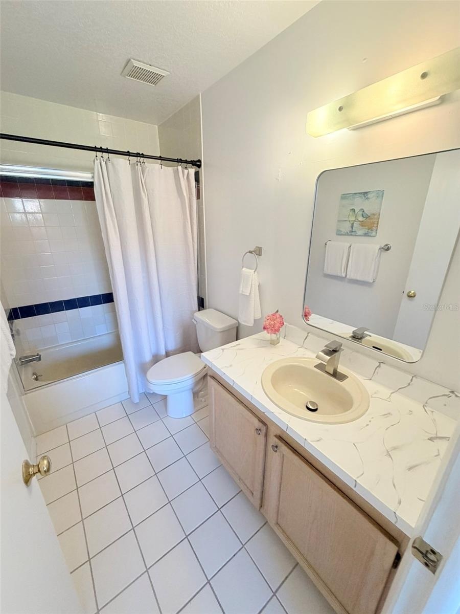 Guest Suite Bath with Tub/Shower