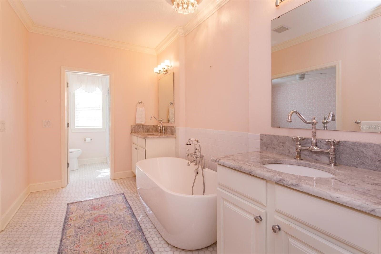 Entry to Water Closet and Staning Shower